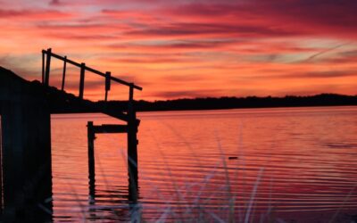 Hitting the Ground Running