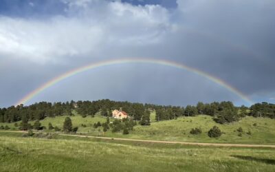 Your North Carolina Journey Begins